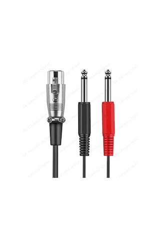 3-Pin Xlr Dişi To 2 X 1-4 "6.35Mm Mono Erkek Trs Y Kablo - 30Cm