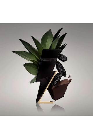 Carolina Herrera Bad Boy Edt 100 Ml Erkek Parfümü Oryantal