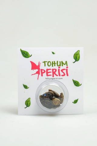 Eski Tip Yerli Yuvarlak Yeşil Karpuz Ata Tohumu 10 Adet