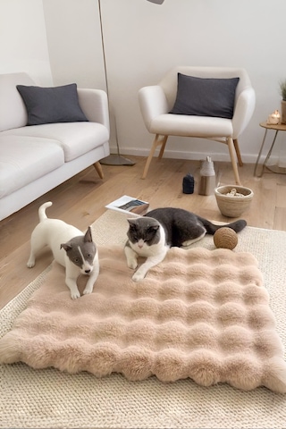 My Evilla Peluş Yumuşak Yıkanabilir Bubble Kedi Köpek Yatağı Minder