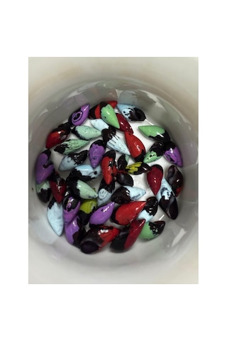 Transgenik Renkli Bonibon Salyangoz 5 Adet 1-2 Cm Yosun Yiyici