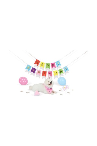 M-pets Party Time Dişi Köpekler İçin Doğum Günü Seti 20x20x7 Cm 244-50102.01