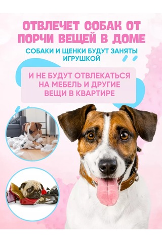 Anticarapki Köpekler İçin Kemik 252801247