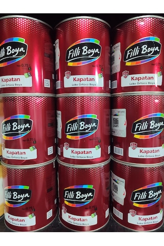 Filli Boya Kapatan Leke Küf İs Örtücü Sentetik Boya 0,75l 0,75 L Filli Boya Kapatan Leke Küf İs Örtücü Sentetik Boya 0,75l 0,75 L