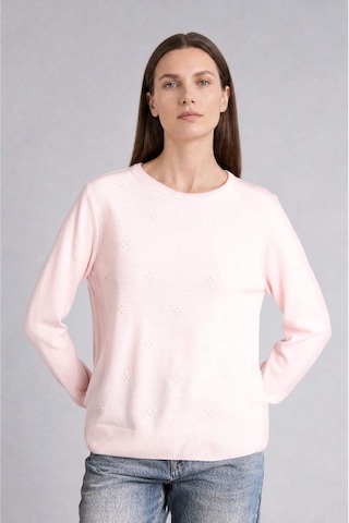 Defacto Regular Fıt Bisiklet Yaka Triko Pembe Kazak F4084ax26wnpn130 Pembe-pn130