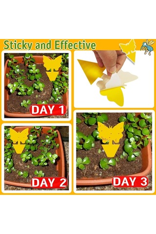 Gajeena Bitki Saksıları İçin Yapışkan Kelebek Ve Sinek Tuzakları, 8cmx13cm, Tek Kullanımlık Kağıt Ve Yapışkan Malzeme, 12'li Paket