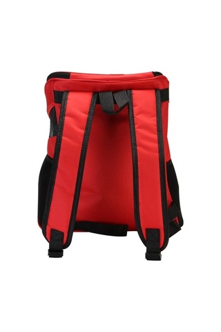 Dm Cbtx Taşınabilir Katlanır Nefes Alabilir Evcil Hayvan Taşıyıcı Sırt Çantası 45x36x31cm Kırmızı