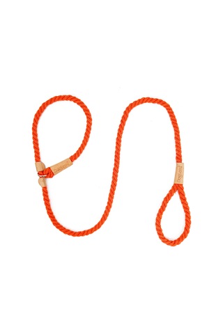 Geeroyoo Eğitim Ve Gezinti İçin Dayanıklı Köpek Tasması - Patlamaya Karşı P Zincirli, Renkli Ve Rahat Tutuşlu Turuncu