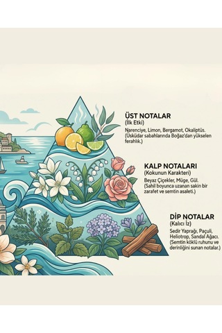 Oxi Natural Premium 80 Kolonya 220ml Cam Şişe Kutulu - Üsküdar
