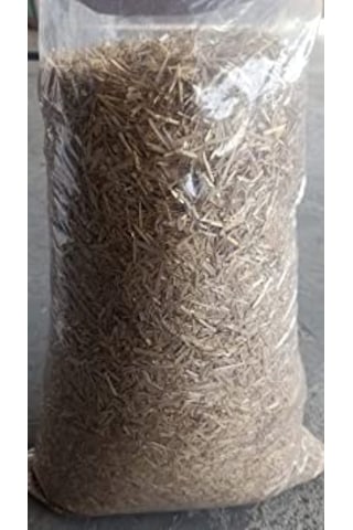 Pastörize Saman 10 KG