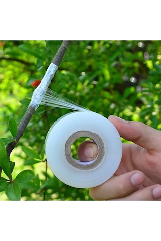 Şeffaf Bitki Aşı Bandı