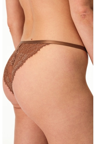 Penti Micro Lace Sütyen
