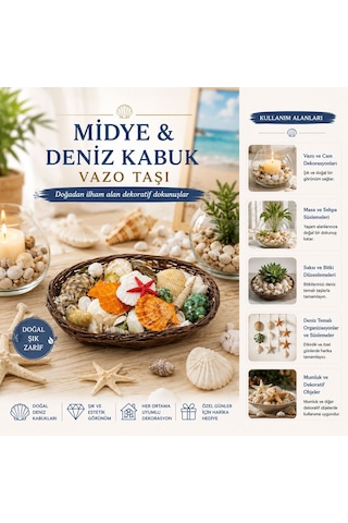 Oval Ahşap Sepet Deniz Kabuklu Vazo Taşı - Renkli Mix Çok Renkli