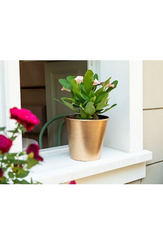 Madame Coco Dior Varaklı Saksı 2.5 Lt 1ksaks016218x18x16cm-gold