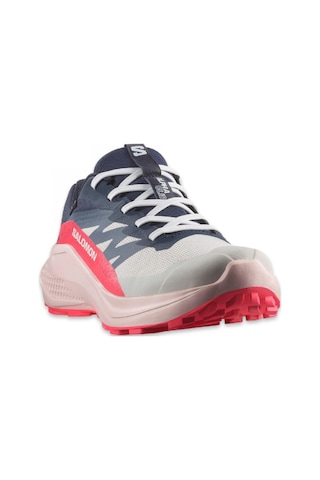 Salomon 478023 Alphaglide Gtx W Patika Koşusu Kadın Spor Ayakkabı Çok Renkli