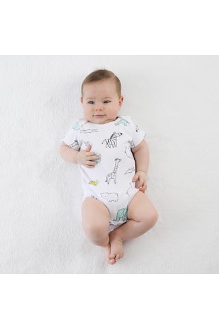 Owlishop Owli Bebek Body 3'Lü Set Zoo Zoo
