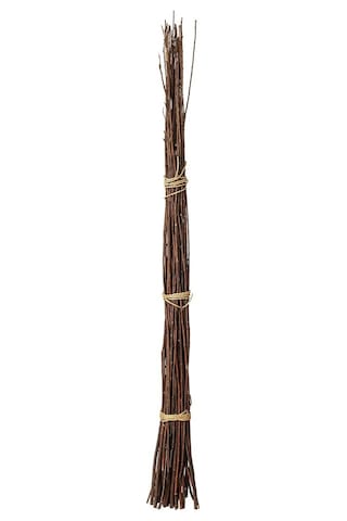 Dekoratif Kuru Buket, Kahverengi, 155 Cm 10 x 13.5 CM