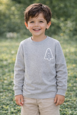 Tanem Kids Erkek Çocuk Jakarlı Gri Örme Sweatshirt Gri