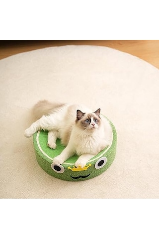 Raikou Kedi Tırmalama Alanı Kedi Oyun Alanı