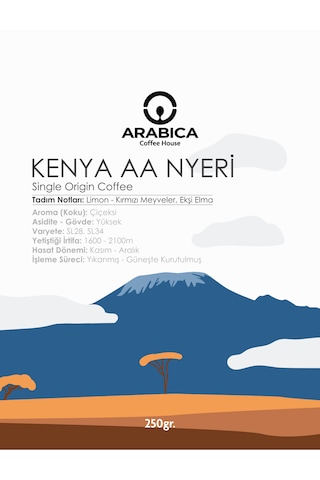 Arabica Coffee House Kenya Aa Natural Kahve Öğütülmüş Kahve Taze Kavrulmuş Çekirdek V60 250 G