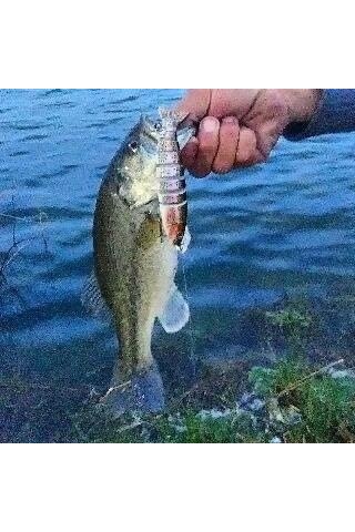 3 Adet 8 Eklemli 3d Oynak Rapala Sahte Balık Yem Seti Tatlı Ve Tuzlu Su Uyumlu Wobblers Swimbait