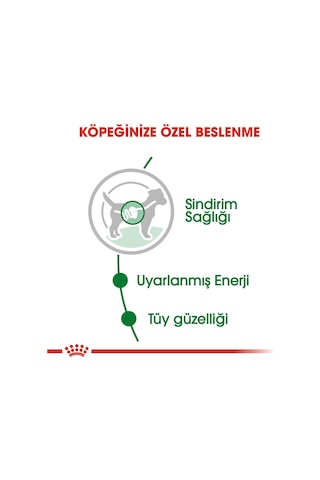 Royal Canin Mini Adult Küçük Irk Yetişkin Köpek Konservesi 85 Gr