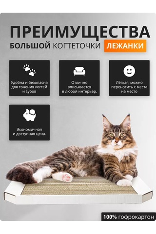 Koskina Radost' Büyük Karton Tırmalama Tahtası 600x330x35 Mm. 196184610