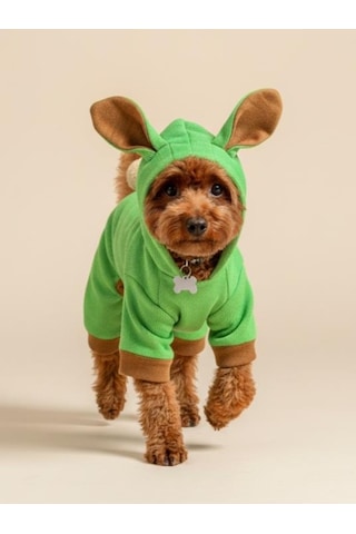 Matcha Bunny Kulaklı Köpek Tulumu Kıyafeti