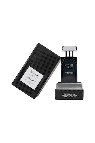 Niche Exclusive Xanthos Erkek Parfüm EDP 100 ML