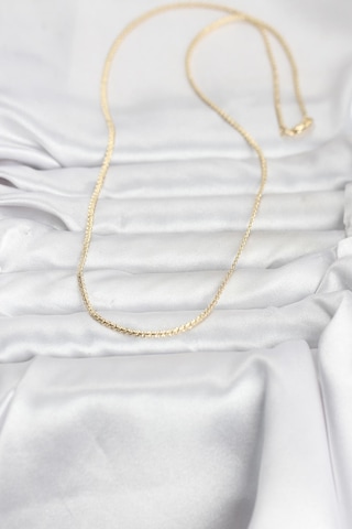 Cm 14k Gold Renk Yassı Zincir Model 60 Cm Kadın Kolye Renkli 59216590