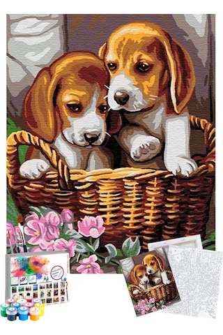 Sayılarla Boyama Seti 40 x 50 CM Tuval Şasesine Gerili Yavru Köpekler