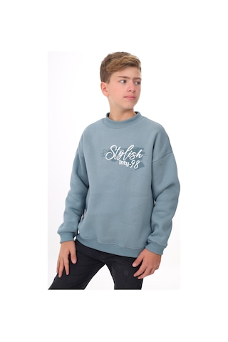 Toontoy Erkek Çocuk Baskılı Sweatshirt Mavi