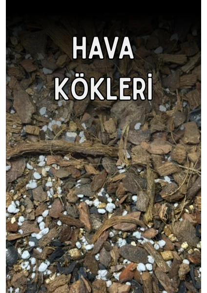 Zıtlıklar Bahçesi Seti / Çölden Yağmur Ormanına Özel Hazırlanmış Toprak Karışımı 9