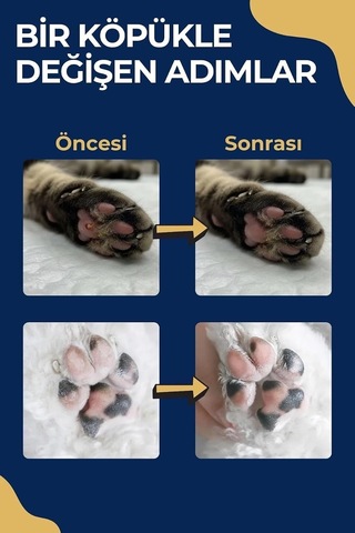 Cleapet Doğal Pati Temizleme Köpüğü 200 Ml Fırça Başlıklı, Durulamasız Kedi Ve Köpek Bakımı Bitkisel, Probiyotik, Vegan Susuz Şampuan