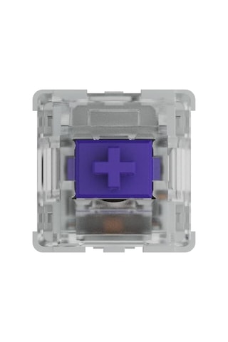 Pc Gaming Race Kailh Pro Purple Switches 120 Adet , Oyun Klavyesi İçin Taktik Ve Sessiz Anahtarlar, Yüksek Uyumluluk,