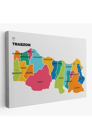Trabzon İli Ve İlçeler Haritası Dekoratif Kanvas Tablo 1469 95 X 55