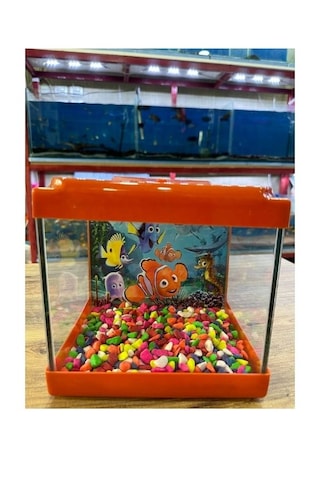 Canlipetshop Turuncu Renkli Mini Kare Akvaryum 20x20x15 CM