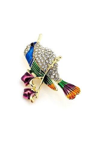 Solfera Gül Dalındaki Bülbül Renkli Kuş Zirkon Taşlı Yaka İğnesi Broş Rz194