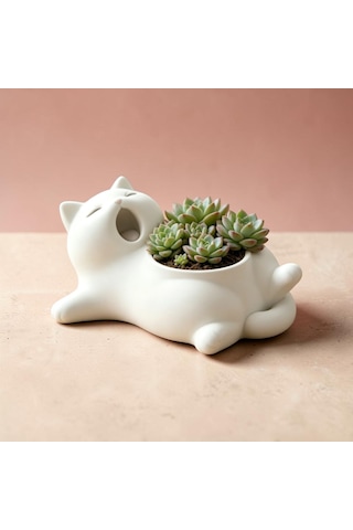 Dekoratif Kedi Saksı Sevimli Sukulent Ve Kaktüs Saksısı 111x138x55 Mm