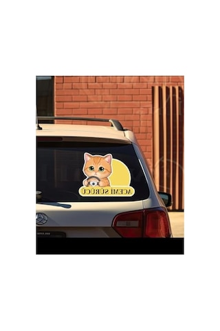 Sevimli Kedi Temalı Renkli Araba Etiketi Ve Sticker Seti Abanoz