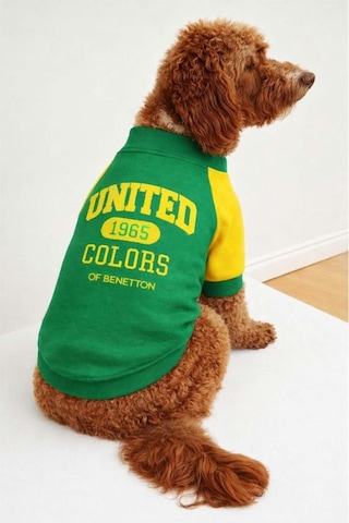United Colors Of Benetton Bnt-s2504 Sweatshirt Yeşil Xl
