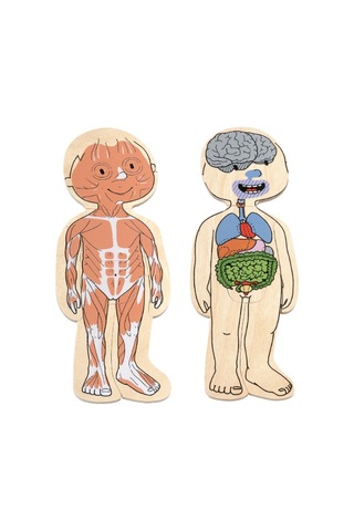 Beleduc Insan Anatomisi Puzzle Kız