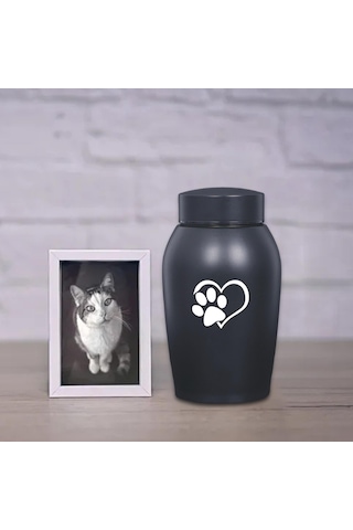 Homyl Paslanmaz Çelik Pet Urn Kremasyon 60 Lbs'ye Kadar Stil-a Altın