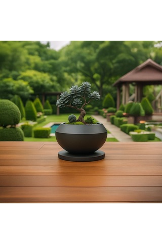 Dekoratif Bonsai Saksı