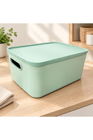Lotus Organizer Kutu Çok Renkli
