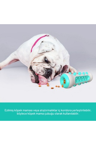 Raikou Köpek Diş Fırçası Oyuncakları