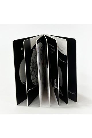 Sincap Kitap Big Small - Baby University First Concepts Stories