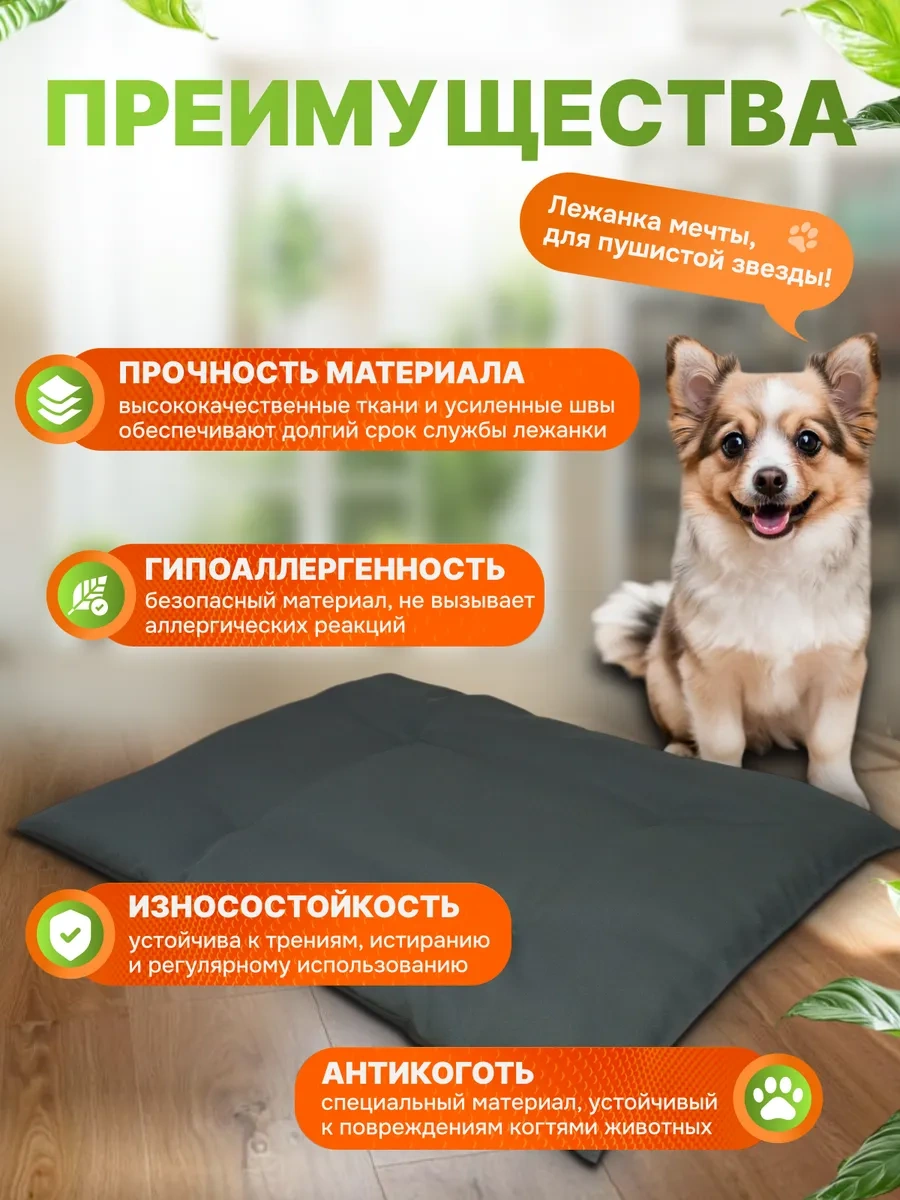 Gurenkot Köpek Yatağı 245497195