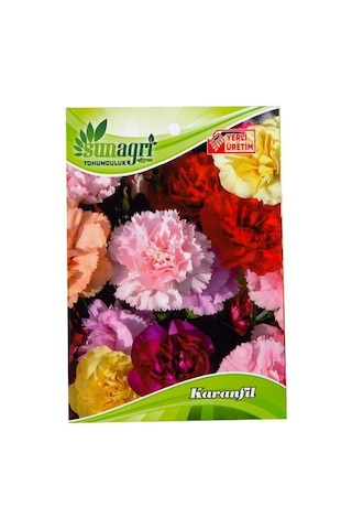 Karanfil Çiçeği Tohumu-3324