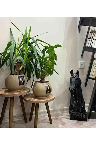 2'li Ahşap Ayaklı Çiçeklik Saksılık Standı 24 Cm Çap Atlantik Çam